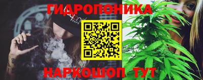 бошки Бердск