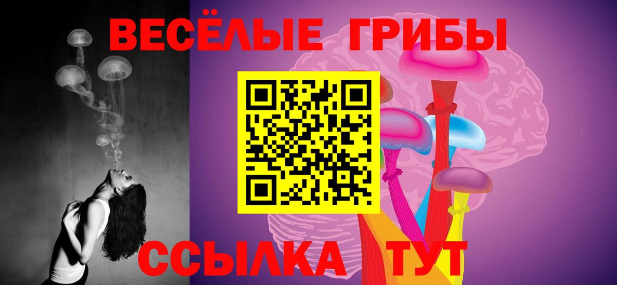 Псилоцибиновые грибы Magic Shrooms  Вход с VPN  Серов  Галлюциногенные грибы мицелий 